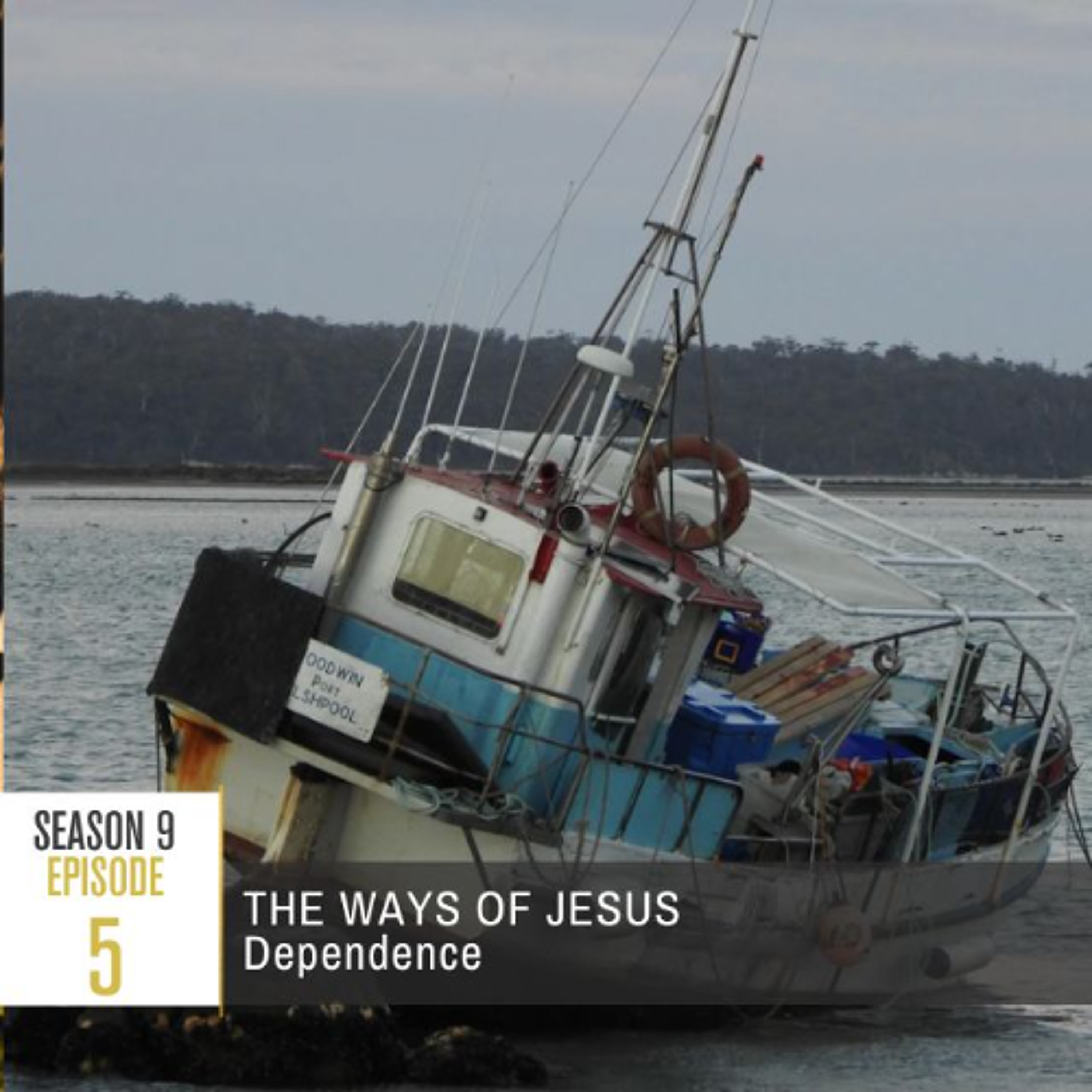 Season 9 Episode 5 - Dependence