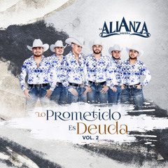 Las Polkas Popurrí: Paloma Errante / Tampico Hermoso / Corazón de Texas