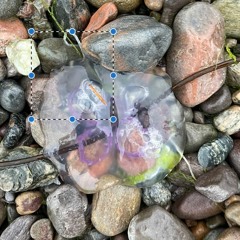 tst1 - cloudhook&^ 2023