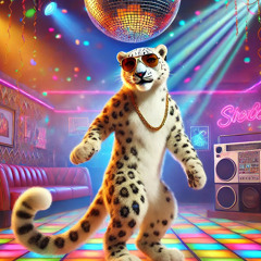 Snowys bit of disco n house