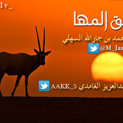 أوضح تسجيل - تدور الأرض وتدور السوالف والسنين تدور - عنق المها 128bit ORIGINAL