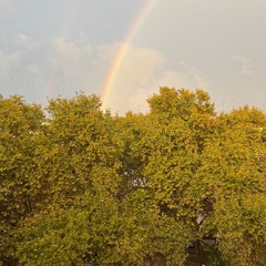 Jen Cardini - love language 111125