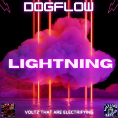 LIGHTNING - DOGFLOW