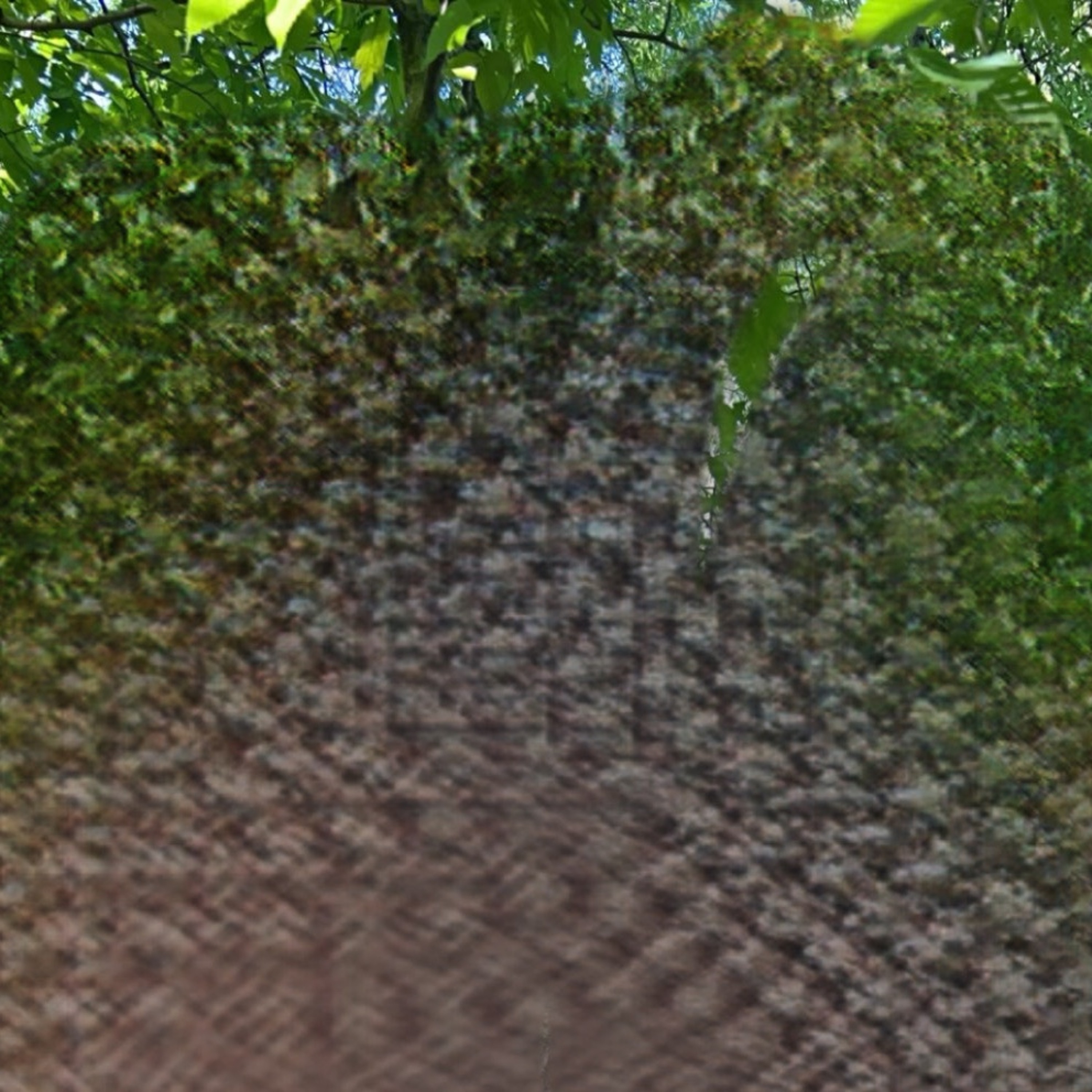 nxble