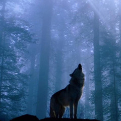 SIAMÉS — The Wolf 【Piano Cover】