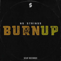 Burn Up
