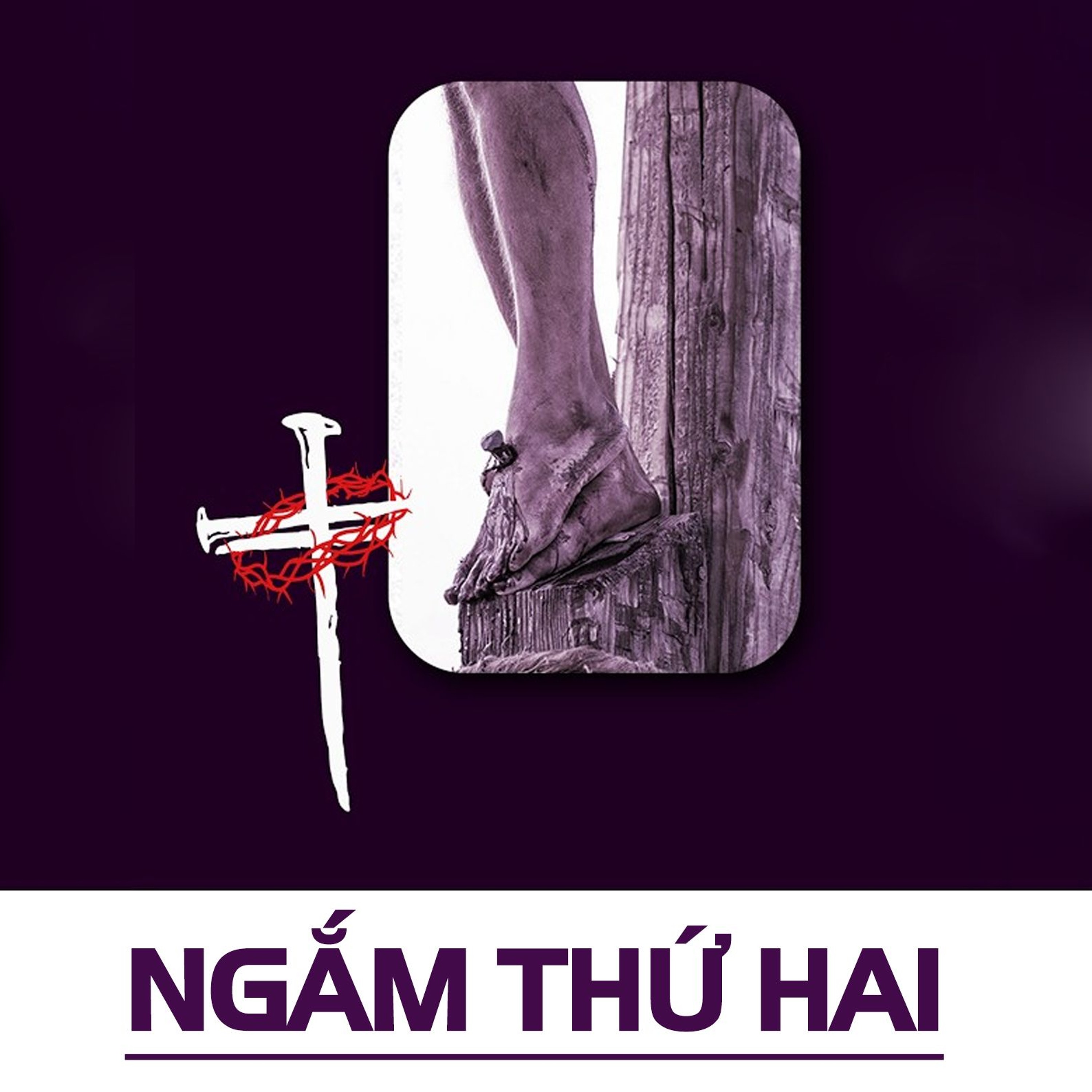 Ngắm thứ hai || Ngắm Rằng episode artwork