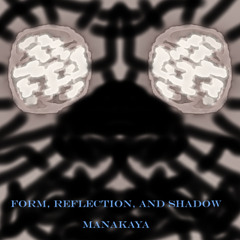 Form, Reflection, and Shadow