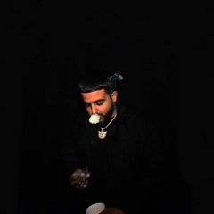 NAV - Trimski (best hq snippet)