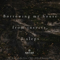 borrowing my house ( Naviarhaiku374 )