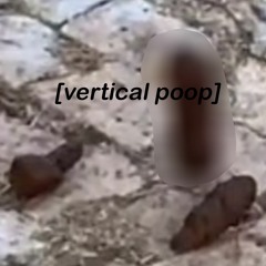vertical poop lol