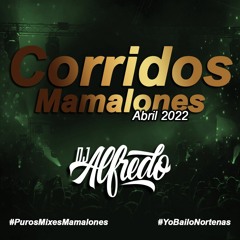 Corridos Mamalones Mix 2022 Dj Alfredo
