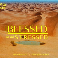 TOO BLESSED TO BE STRESSED