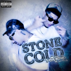 Stone Cold 2