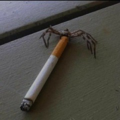 Spiders Doing Drugs