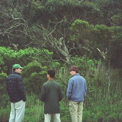 A2: Satisfy My Needs