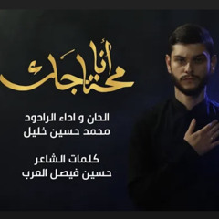 ‎⁨أنا محتاجك | الرادود محمد حسين خليل⁩