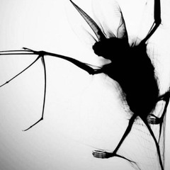 0ffline! )slowed+reverb(