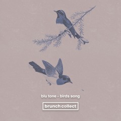 Blu Tone - Birds Song