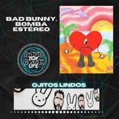 Bad Bunny, Bomba Estéreo - Ojitos Lindos (David Now & Cristian Live) EDIT