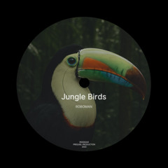 Roboman - Jungle Birds (tech house mix)