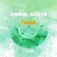 [OUT NOW!] Dawid Jurzyk - Taiga