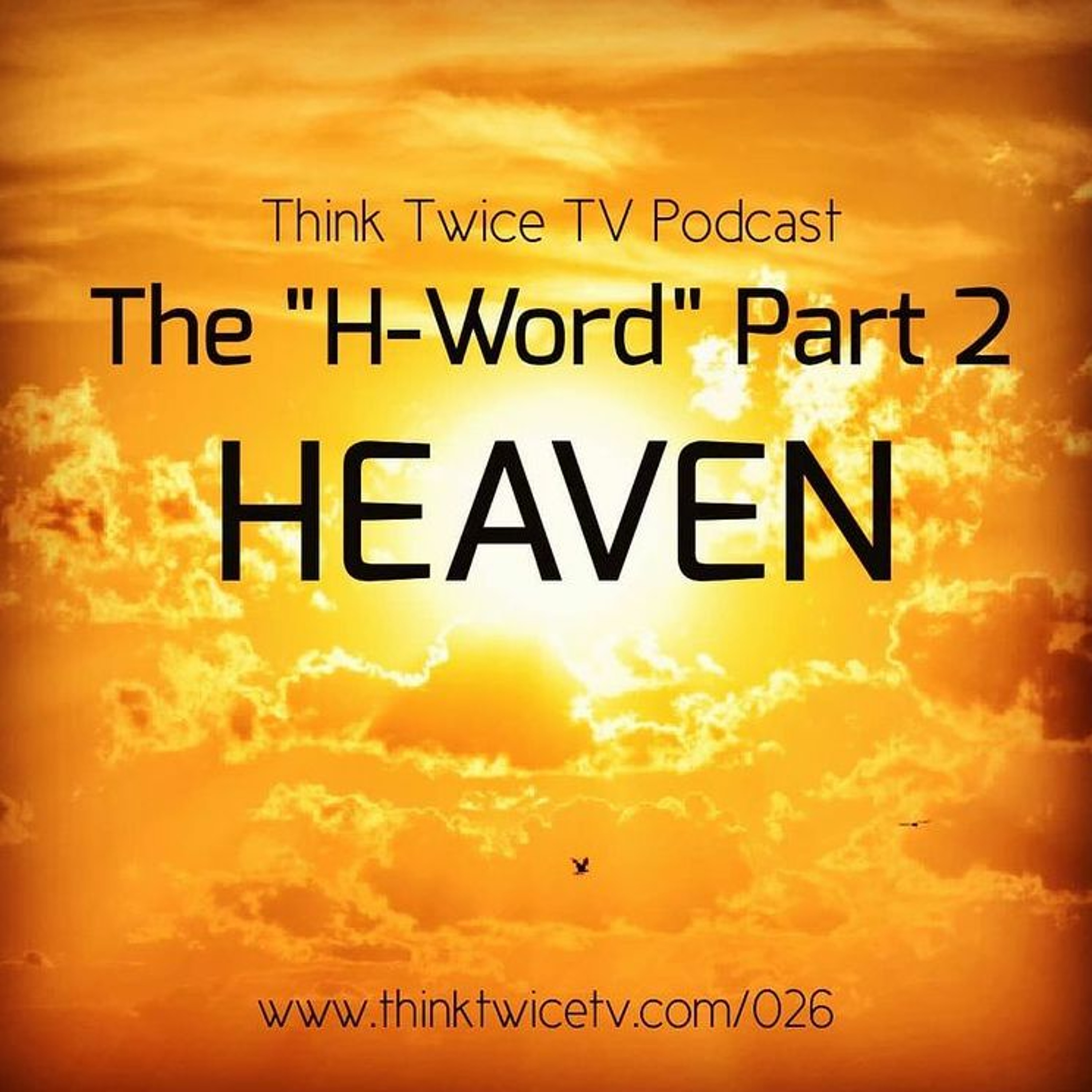 Think Twice TV Podcast