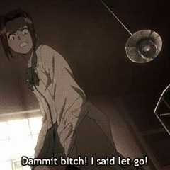 dammit bitch i said let go