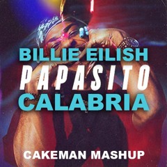 Billie Eilish X Calabria X Papasito (CakeMan Mashup)