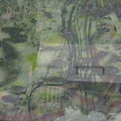 Dry Rain