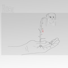 ROSE Freestyle
