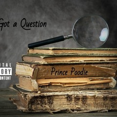 I Got A Question