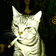 High on the Beat DJ Set