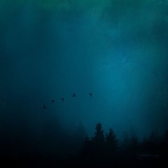 20Four Songs