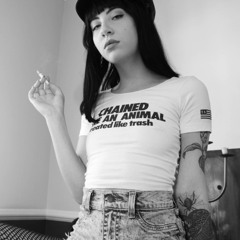 Messerschmitt - Petrel