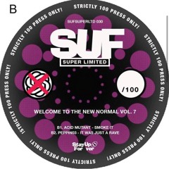 It Was Just A Rave (Released on Stay Up Forever, SuperLTD 030) 100 copies on vinyl