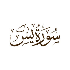 فَلا يَحْزُنكَ قَوْلُهُمْ إِنَّا نَعْلَمُ مَا يُسِرُّونَ وَمَا يُعْلِنُونَ