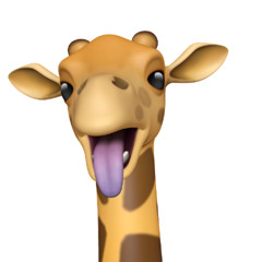 hennystyle 🦒