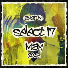 SELECT 17 MIX 028 | MAY '25 (Kanine, Wilkinson x Camo & Krooked, Unglued)