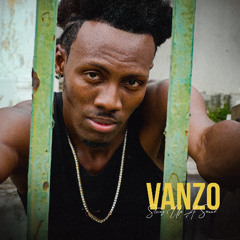 Vanzo - String Up A Sound (Evidence Music)