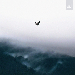 Karina Deleau - Echoes of Tomorrow