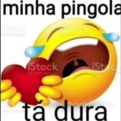NÃO ME LEVE A MAL X ALEX VAI, ALEX VEM(remix paia do delfadas)
