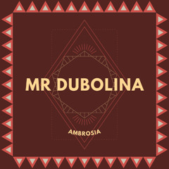 Mr Dubolina