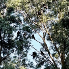 i love (drum and bass practice beat)