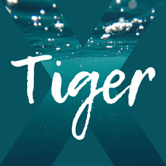 Tiger X. Episode 12. Igor Shorets
