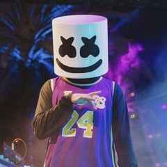 Marshmello Sanctuary Mix