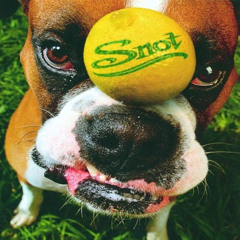 Snot - Joy Ride (Skip 1 min)