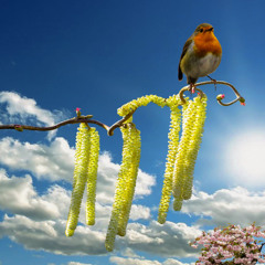 Spring Awaits