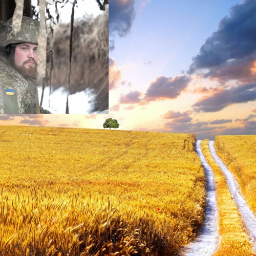 The Plains Of Ukraine