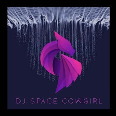 Salami by DJ Space Cowgirl 120623